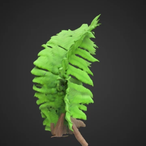 Zümrüd Cəngəllik Qıjısı