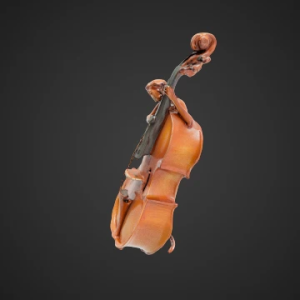 Meşə Ruhunun Violonçeli